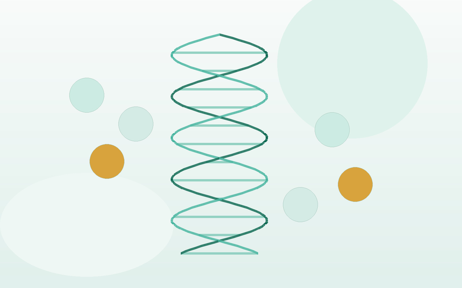 What is MTHFR?