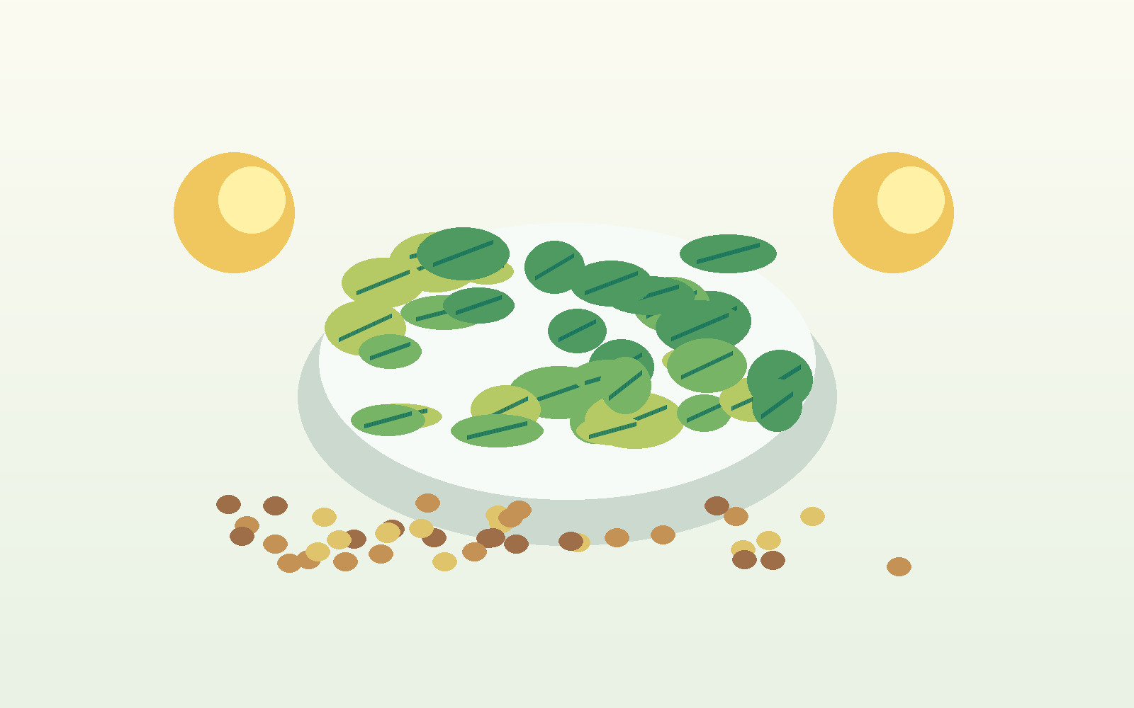 Folate-rich leafy greens and nutrition setup for MTHFR diet education